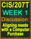 CIS/207T WEEK 1 DISCUSSION: ALIGNING NEEDS WITH A COMPUTER PURCHASE